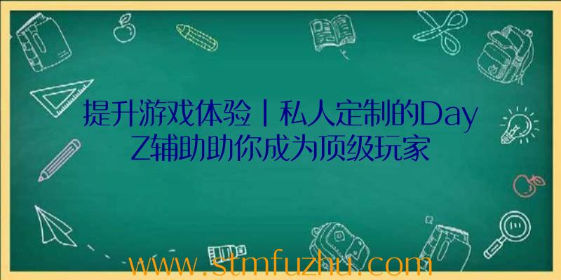 提升游戏体验|私人定制的DayZ辅助助你成为顶级玩家